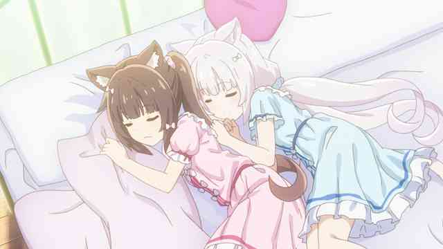 ネコぱら