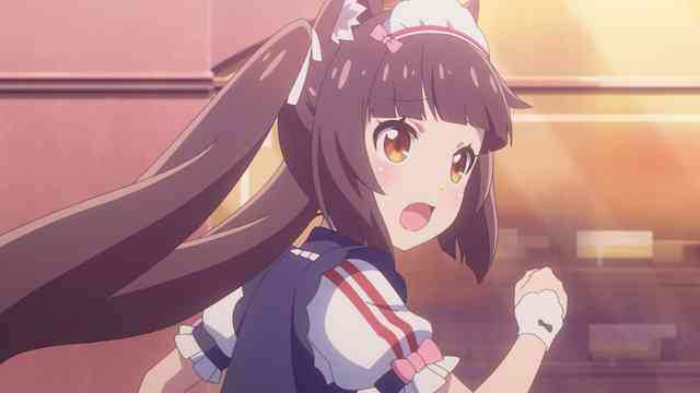 ネコぱら
