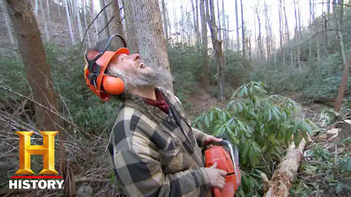 ボブキャットVS狩猟犬