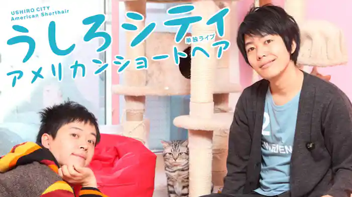 うしろシティ単独ライブ「アメリカンショートヘア」