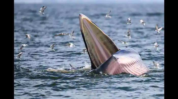 中部:すべての中心