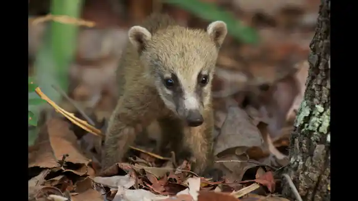 危険に満ちた世界