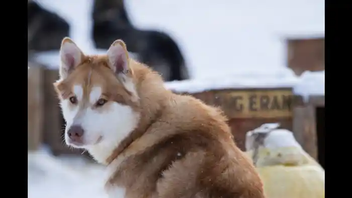 血と汗と恐怖の結晶