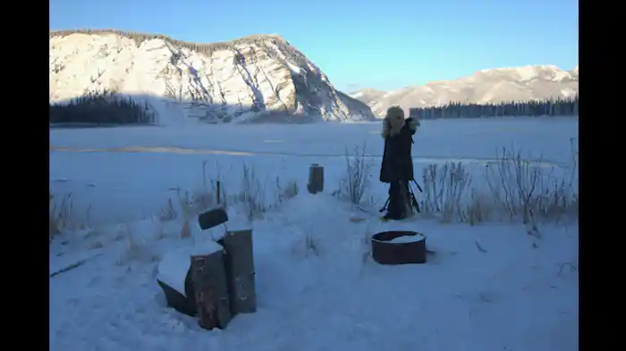 怪物たちのいるところ