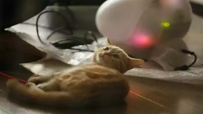 一分いくらで働いてますか？