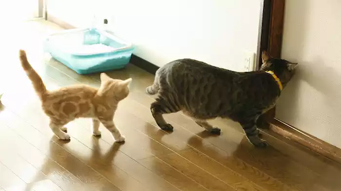 人生のピークは、今だと言える勇気