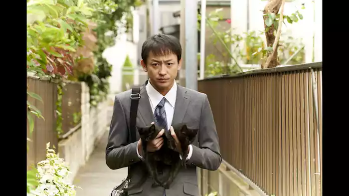 先人は言う。黒猫が横切るとなんたら……
