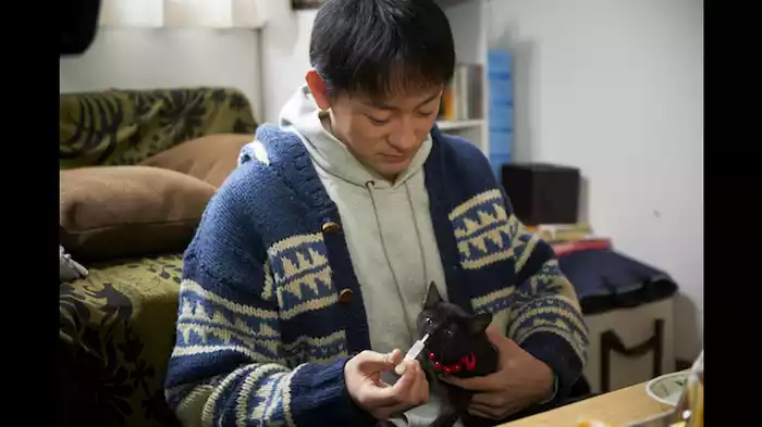 先人は言う。流れ星を見たら三回願い事をなんたら……