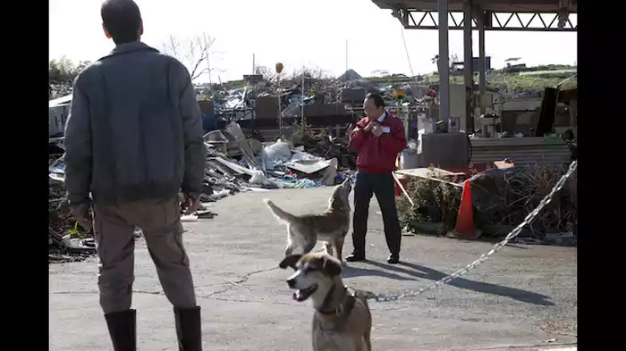 無理をする人