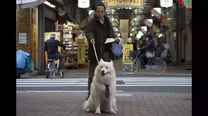行動範囲が狭い人