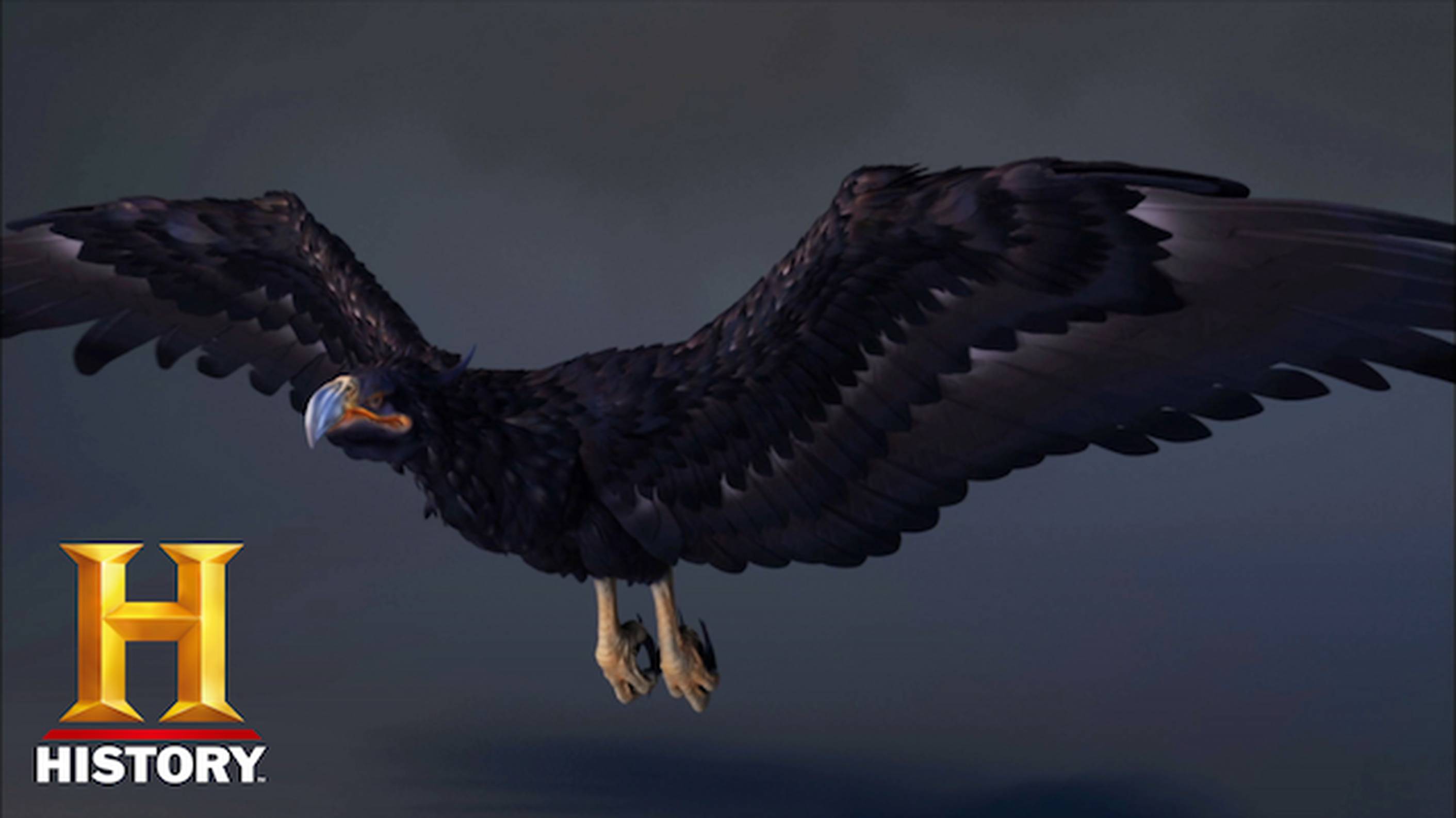 アラスカの恐怖 魔の三角地帯 11 飛行機サイズの肉食鳥類 ドキュメンタリー 15 の動画視聴 U Next 31日間無料トライアル