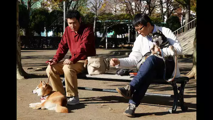 ちゅうしゃ