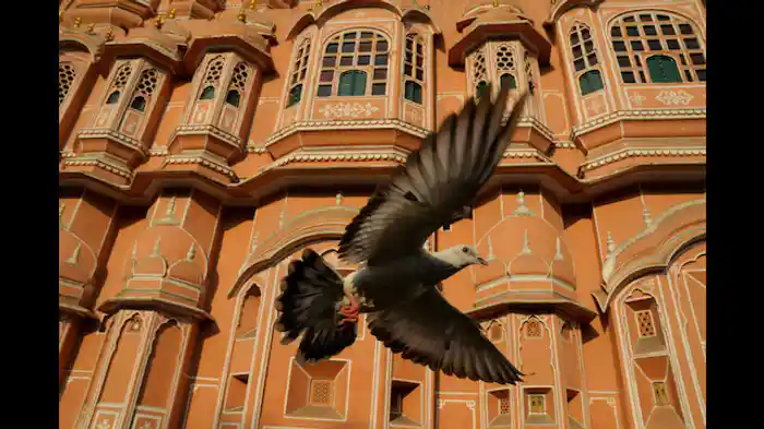 アジアとオーストラリア