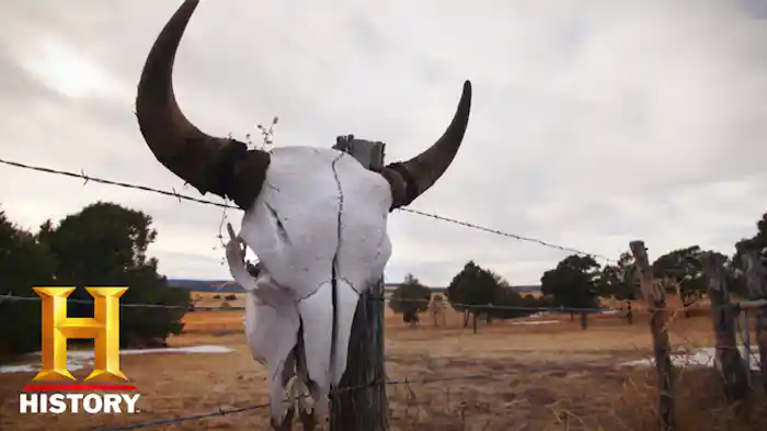 厳冬シーズン到来