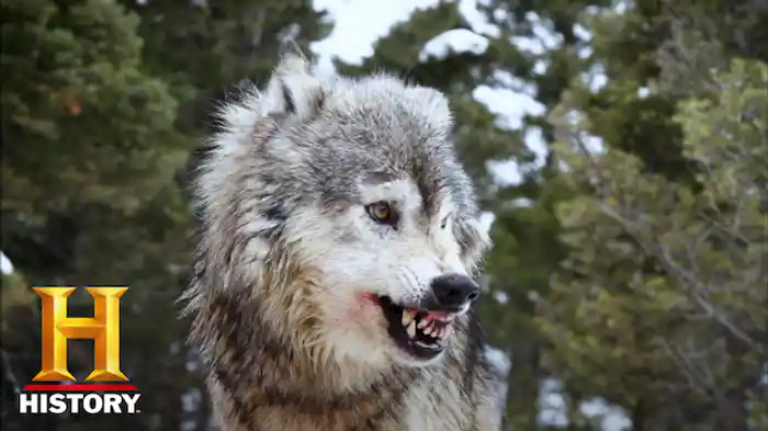 息子への狩猟伝授