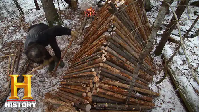 マウンテンライオンを追い払え！