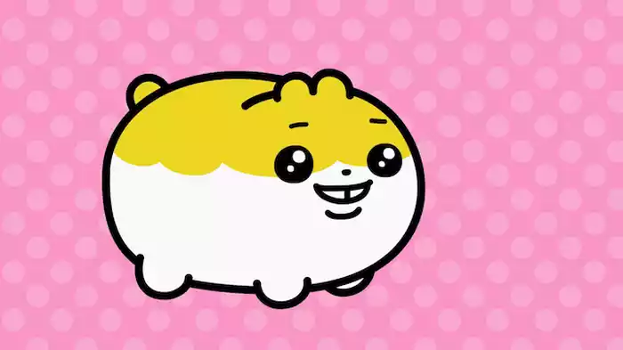 ハムの習性
