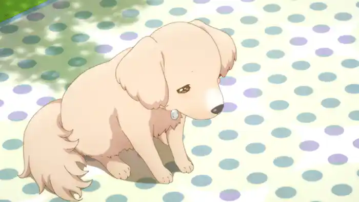 きゅうちゃんのゆううつ