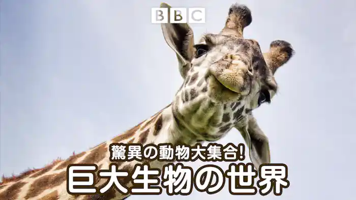 巨大生物の世界