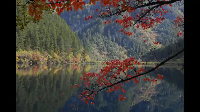 調和という伝統