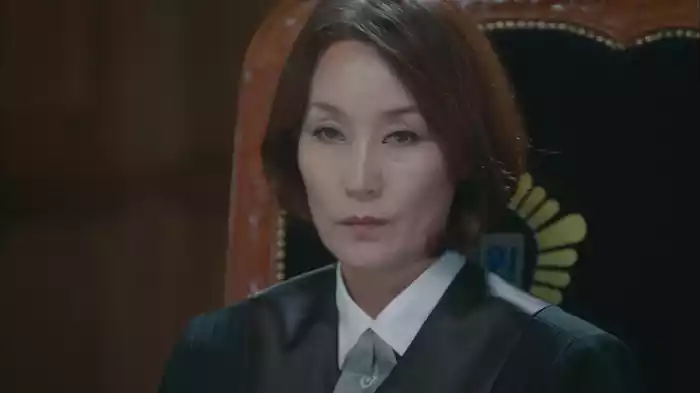 無敵の弁護人