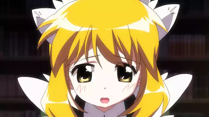 ただいまの風