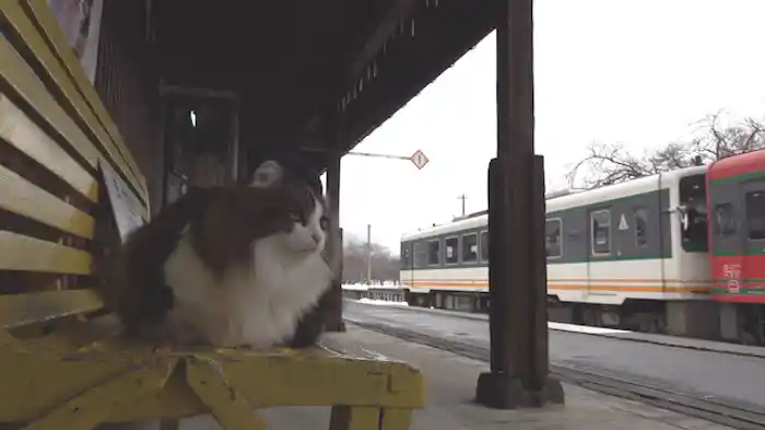 ホームの巡回・列車のお見送り