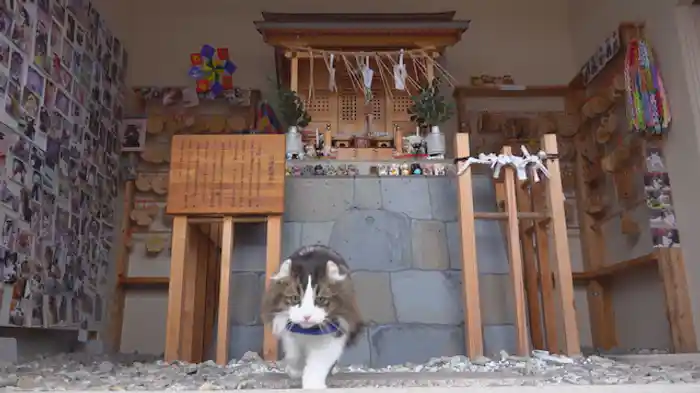 安全祈願だにゃん！