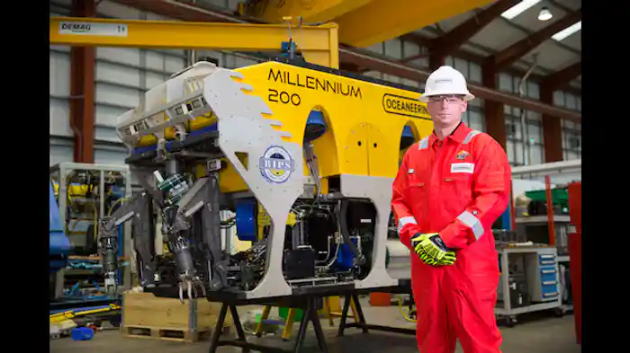 日本のイケメンゴリラ