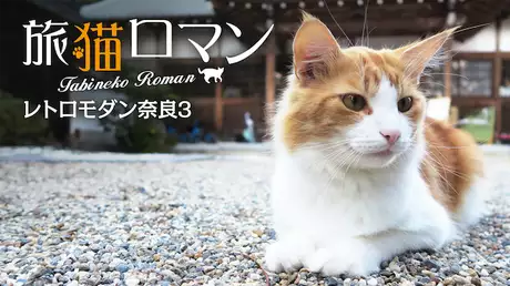 旅猫ロマン レトロモダン奈良3