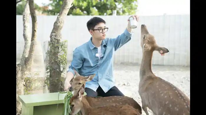 肉弾戦と化したバブルサッカー