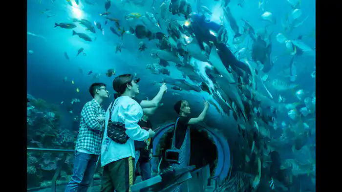 アクティビティかヒーリングか?