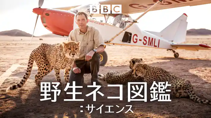野生ネコ図鑑：サイエンス