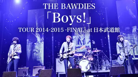 「Boys!」TOUR 2014-2015 -FINAL- at 日本武道館