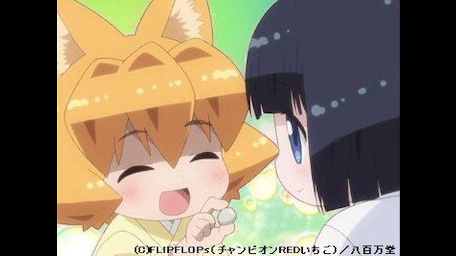 猫神やおよろず