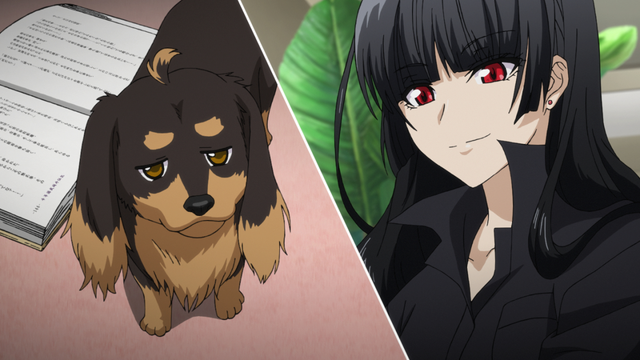 犬とハサミは使いよう