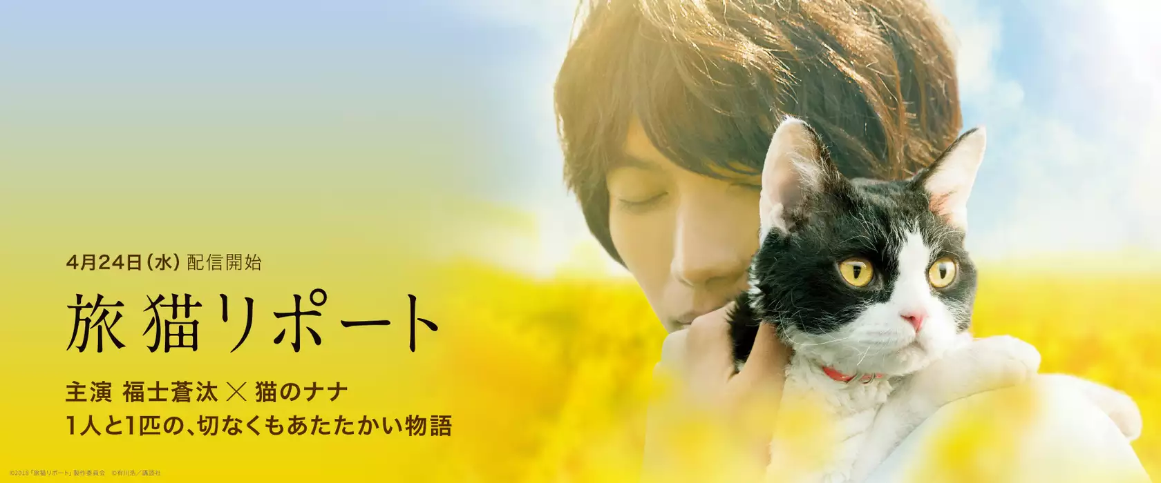 ヴァンパイア騎士 Memories 4巻 電子書籍はu Next 初回600円分無料 ヴァンパイア騎士 Memories 4巻 電子書籍はu Next 初回600円分無料