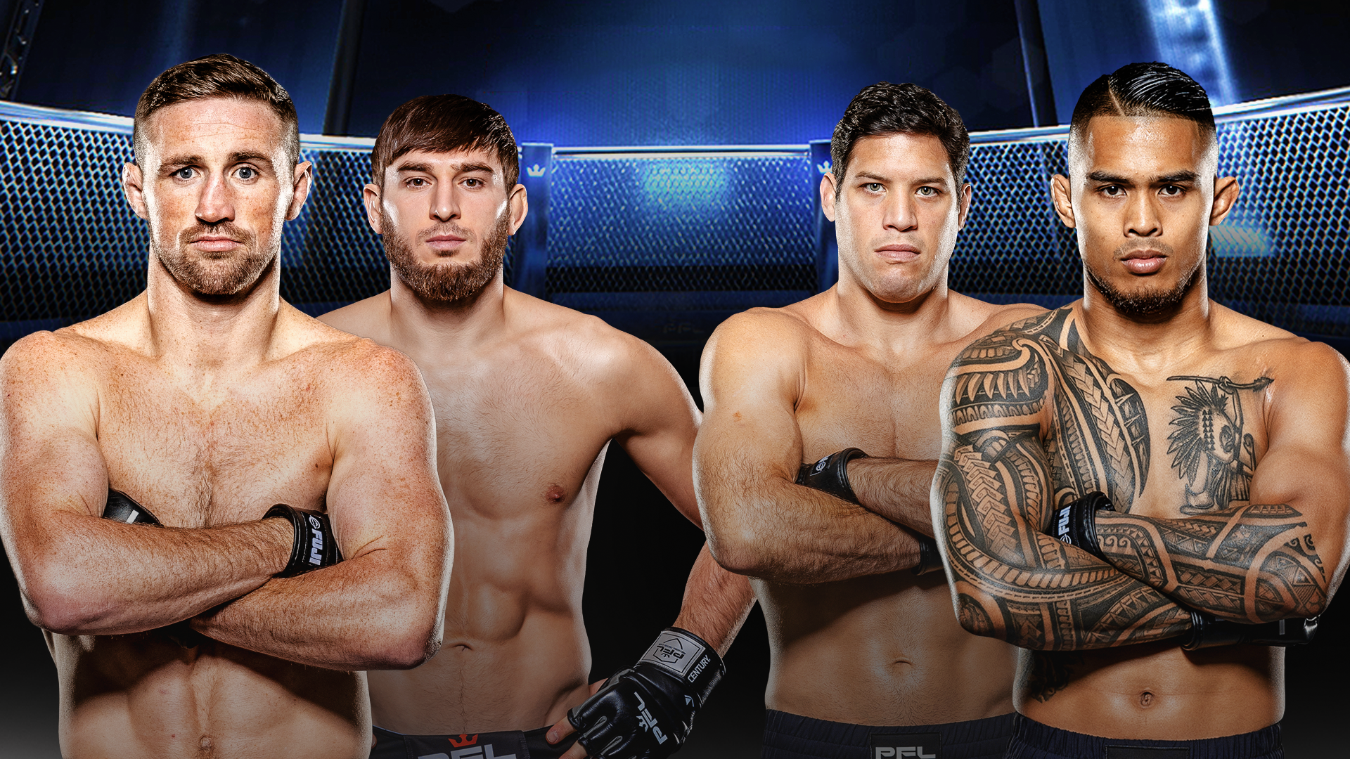 PFL プレーオフシーズン3のサムネイル画像