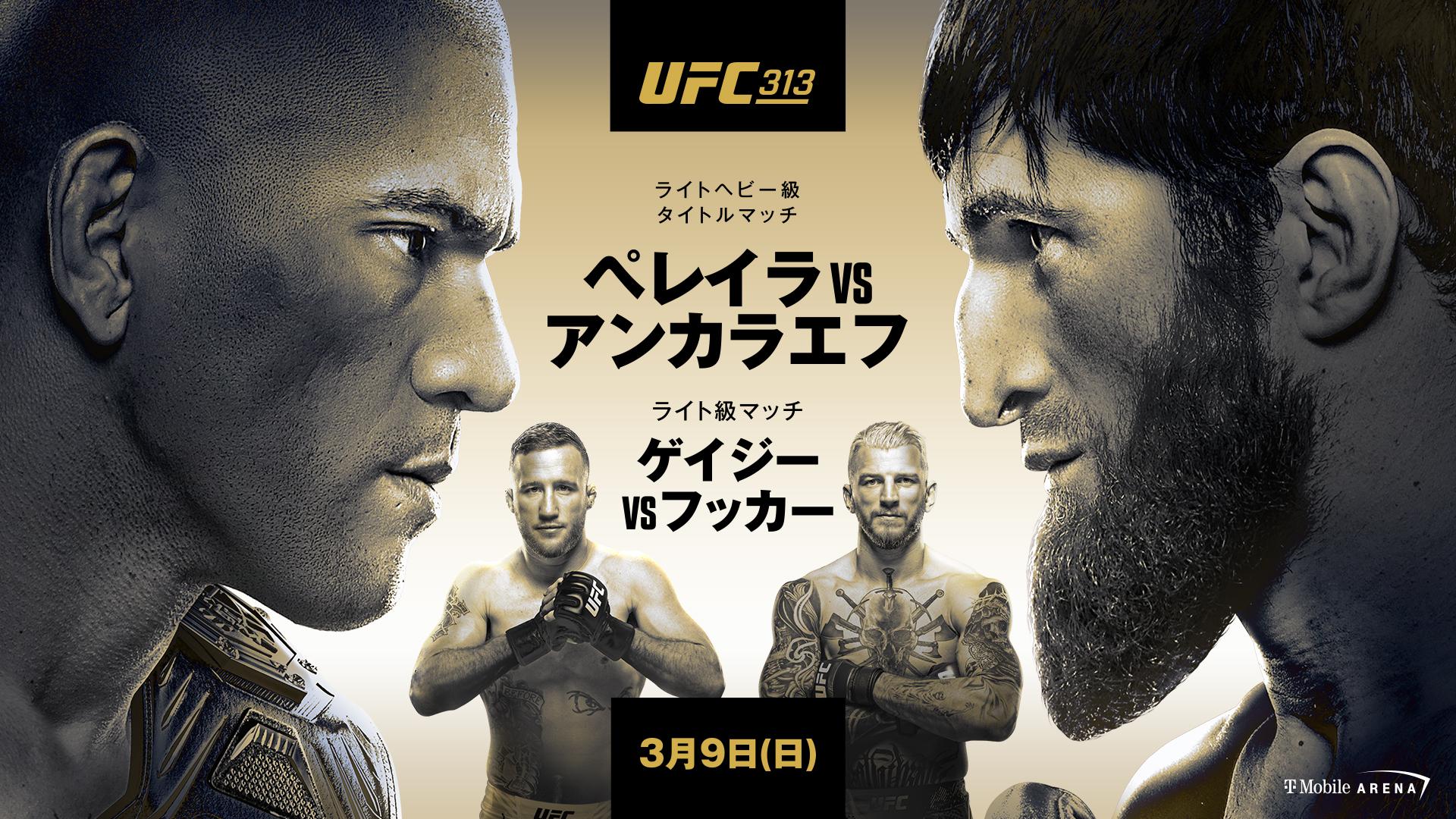 UFC 313：ペレイラ vs. アンカラエフのサムネイル画像