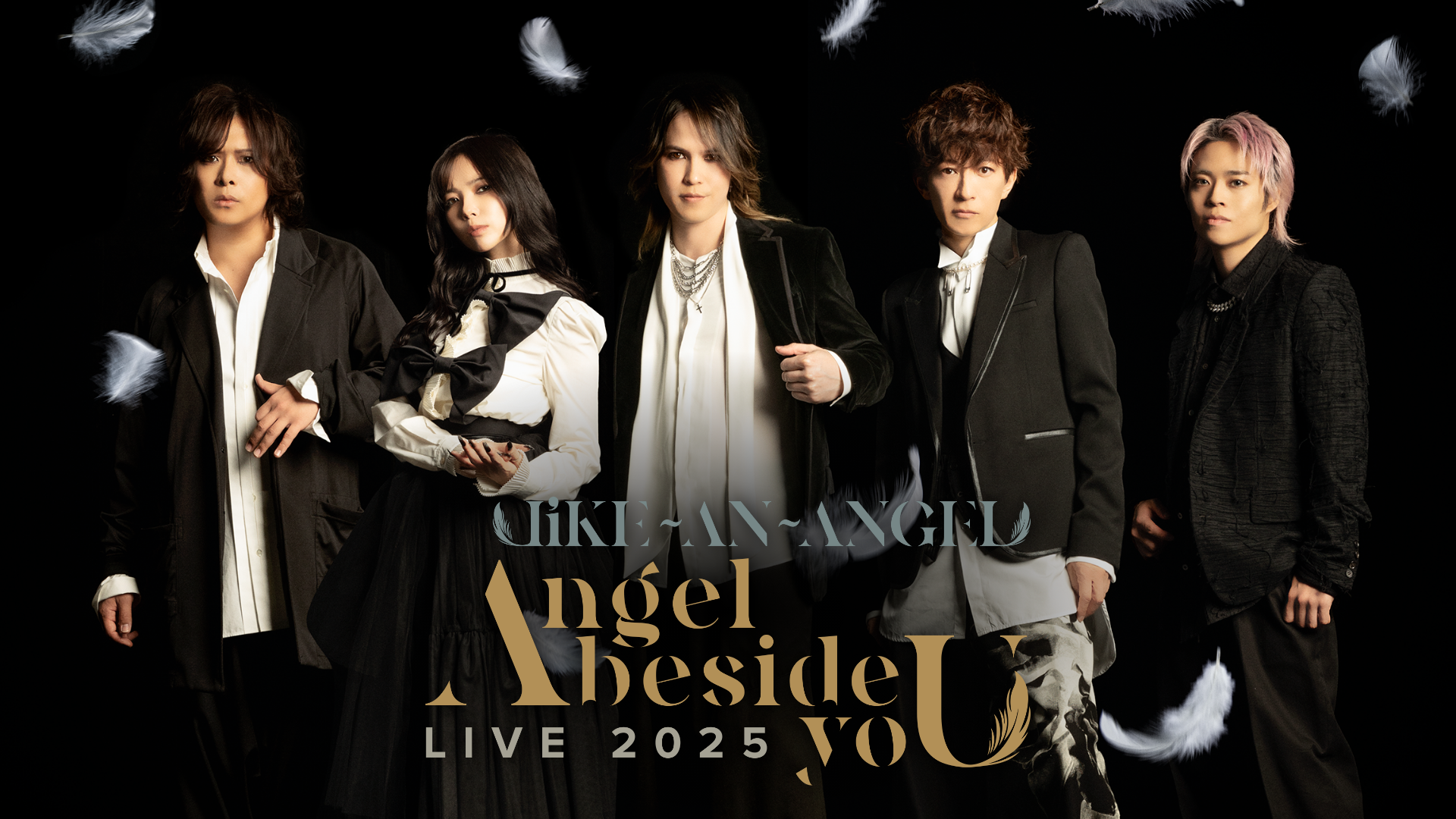 Like-an-Angel ｢LIVE 2025 Angel beside yoU｣