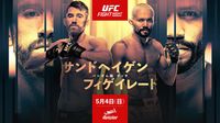 UFCファイトナイト・デモイン：サンドヘイゲン vs. フィゲイレード