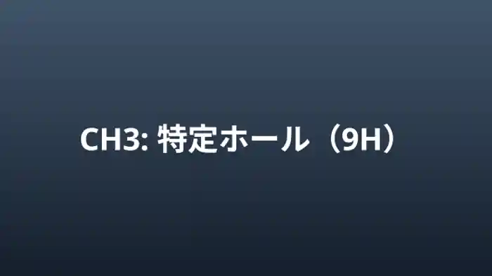 特定ホール（9H）