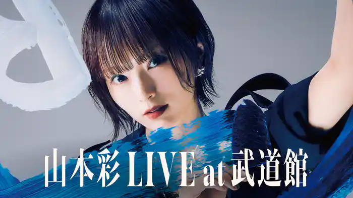 山本彩 LIVE at 武道館