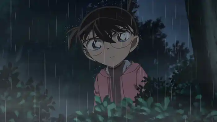 依頼人からのメッセージ