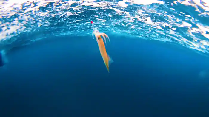 2022/3/5放送分 照英 イカ釣りの醍醐味を味わうヤリイカ&スルメイカ