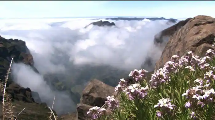 大陸の最西端へ(ポルトガル)