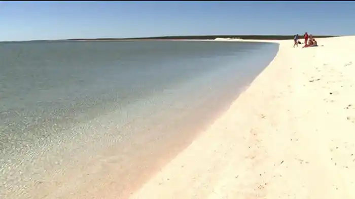 太古の贈り物シャーク湾(オーストラリア)