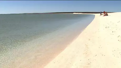 太古の贈り物シャーク湾(オーストラリア)