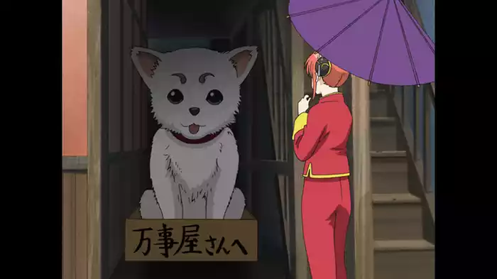 疲れた時は酸っぱい物を
