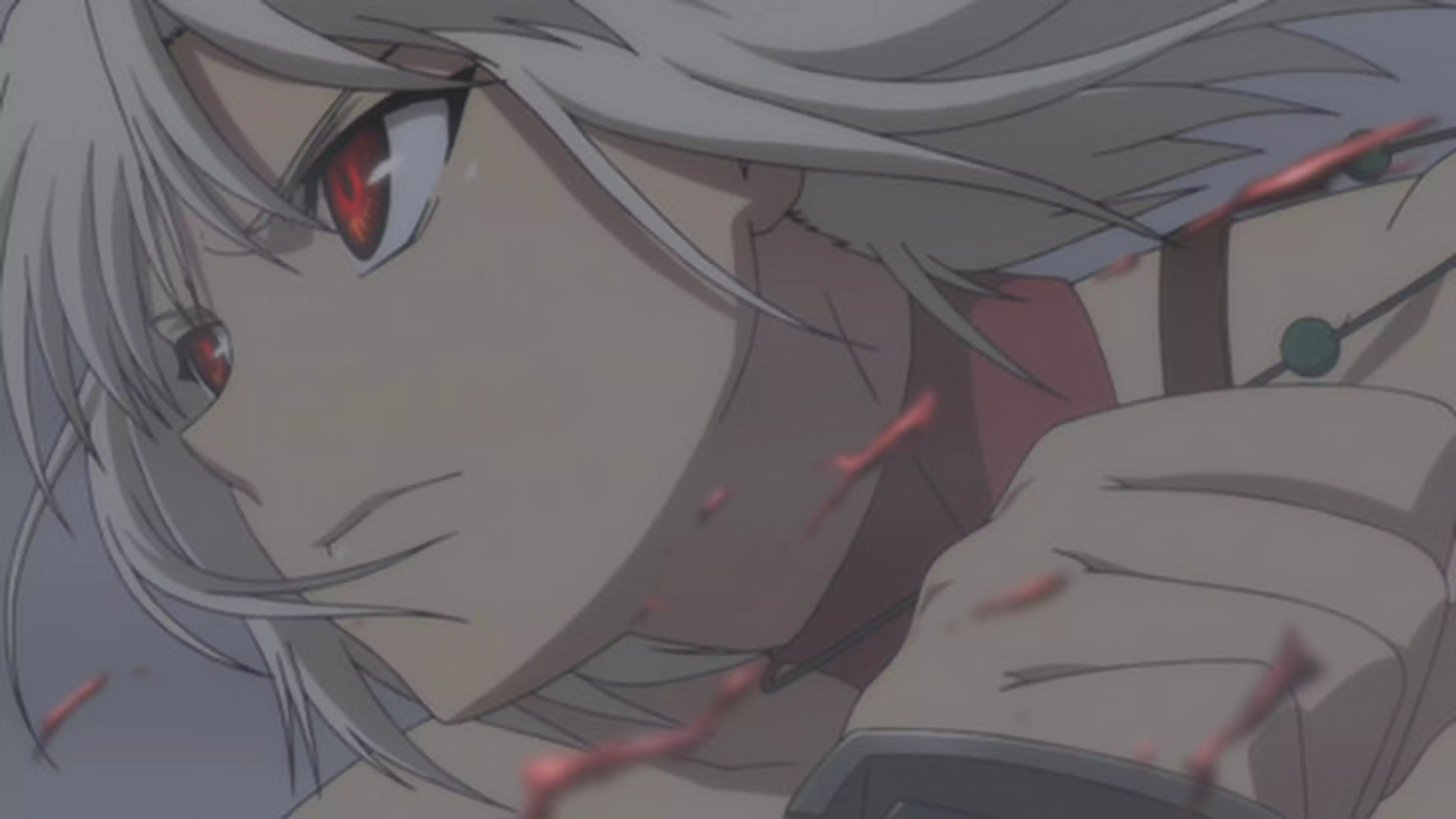 Canaan 11 彼女添 アニメ 09年 の動画視聴 あらすじ U Next